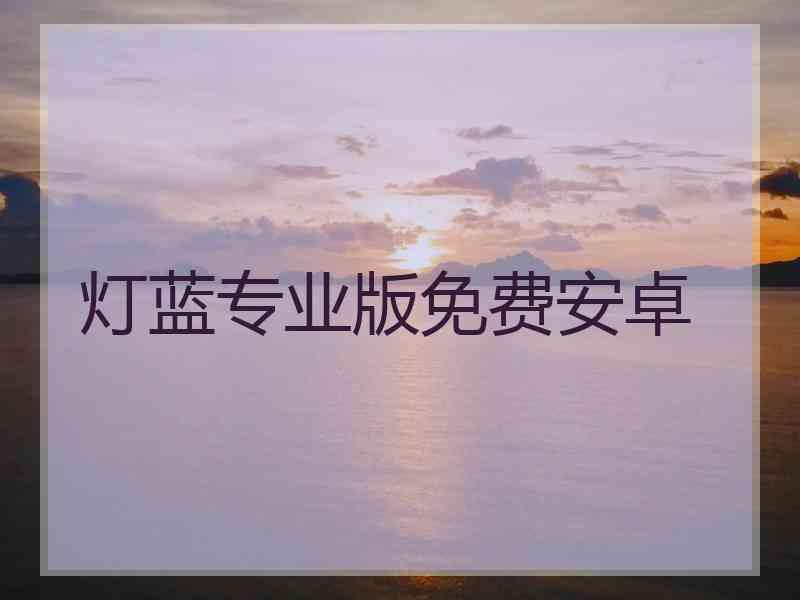 灯蓝专业版免费安卓