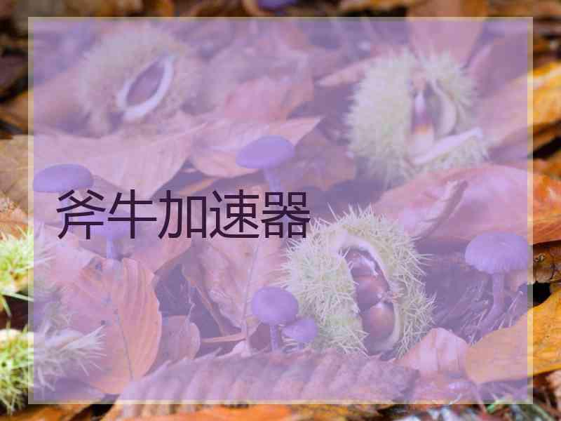 斧牛加速器