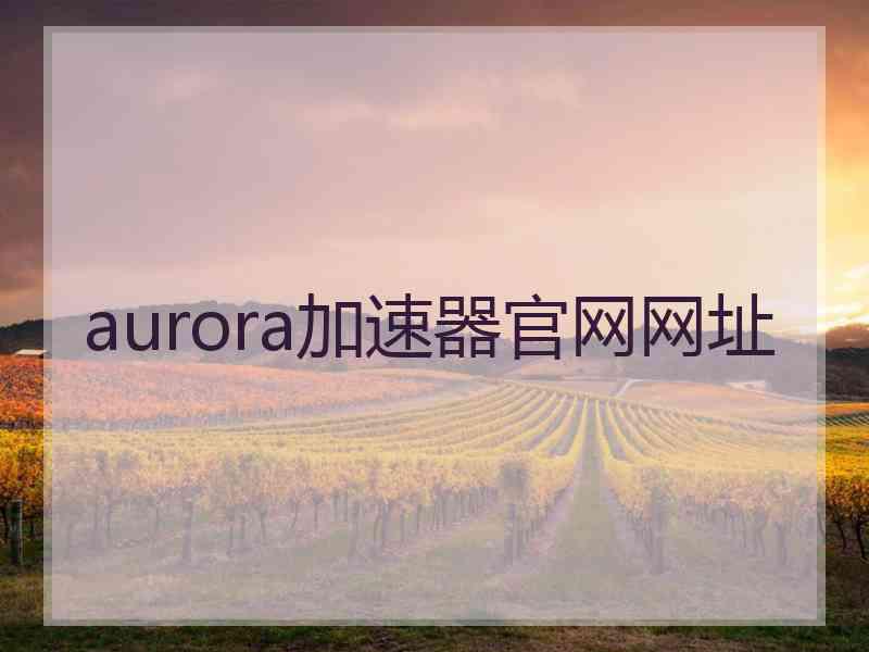 aurora加速器官网网址