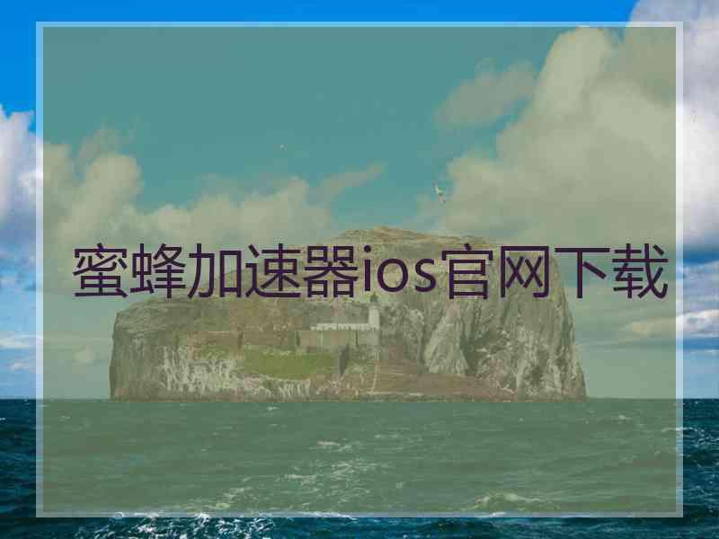 蜜蜂加速器ios官网下载
