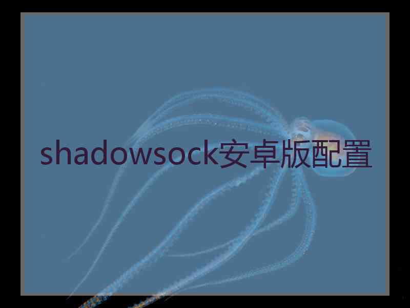 shadowsock安卓版配置