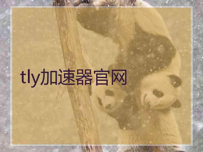 tly加速器官网