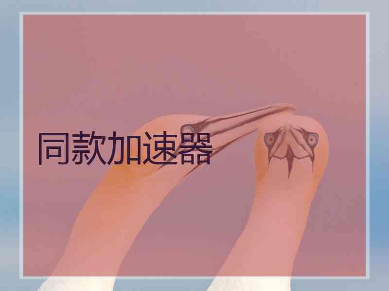 同款加速器