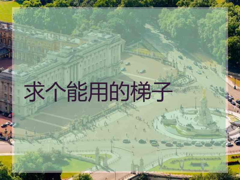 求个能用的梯子