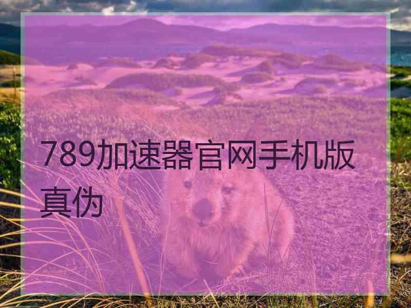 789加速器官网手机版真伪