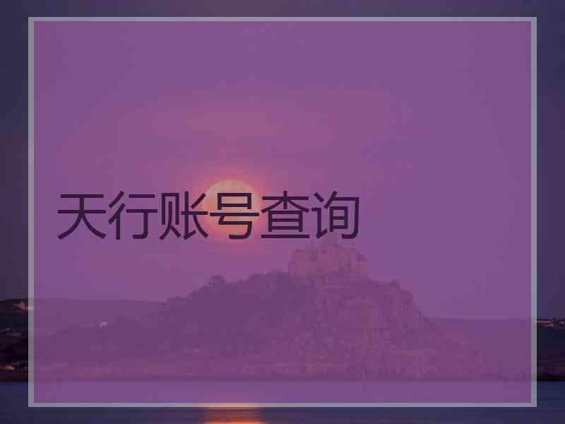 天行账号查询