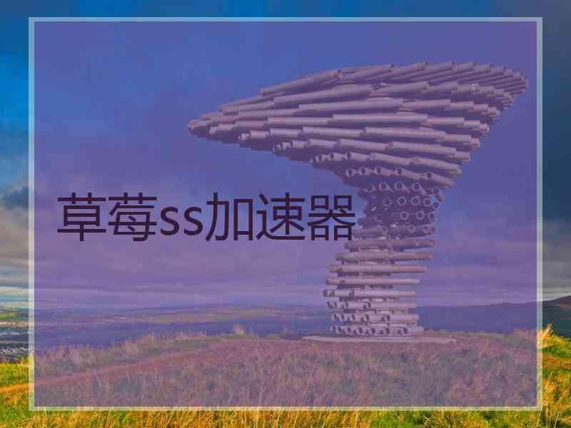 草莓ss加速器