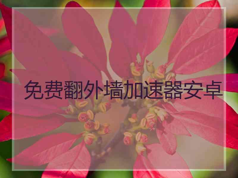 免费翻外墙加速器安卓
