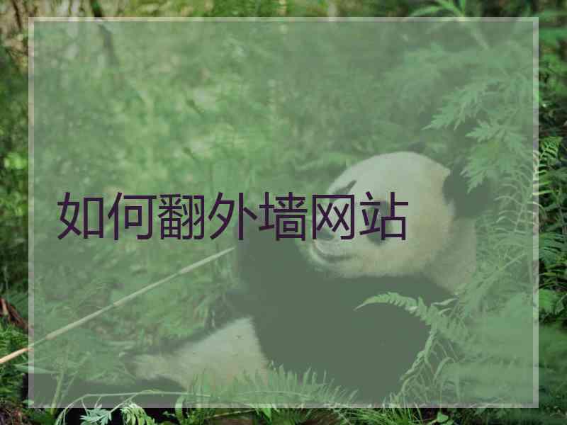 如何翻外墙网站