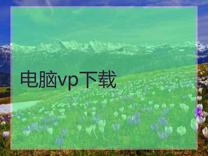 电脑vp下载