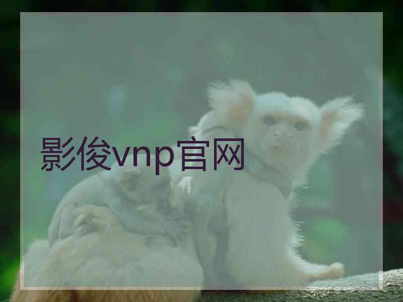 影俊vnp官网