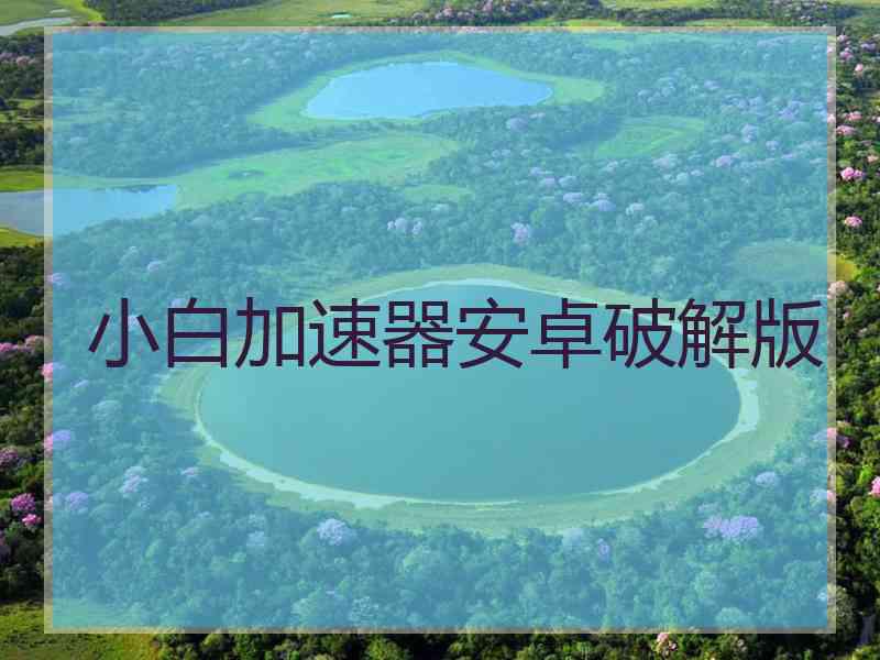 小白加速器安卓破解版