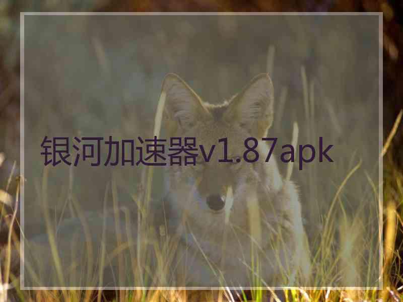 银河加速器v1.87apk