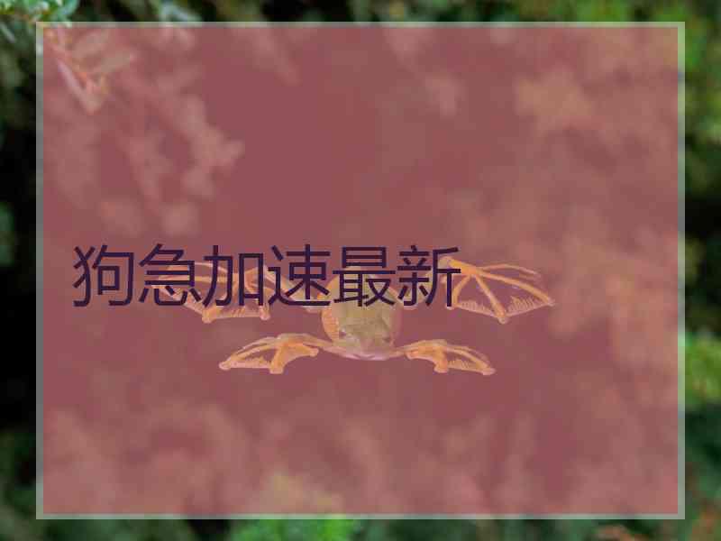 狗急加速最新