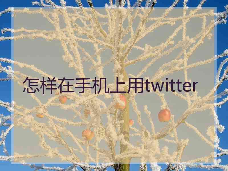 怎样在手机上用twitter