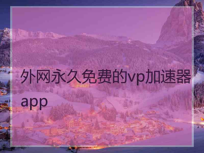外网永久免费的vp加速器app