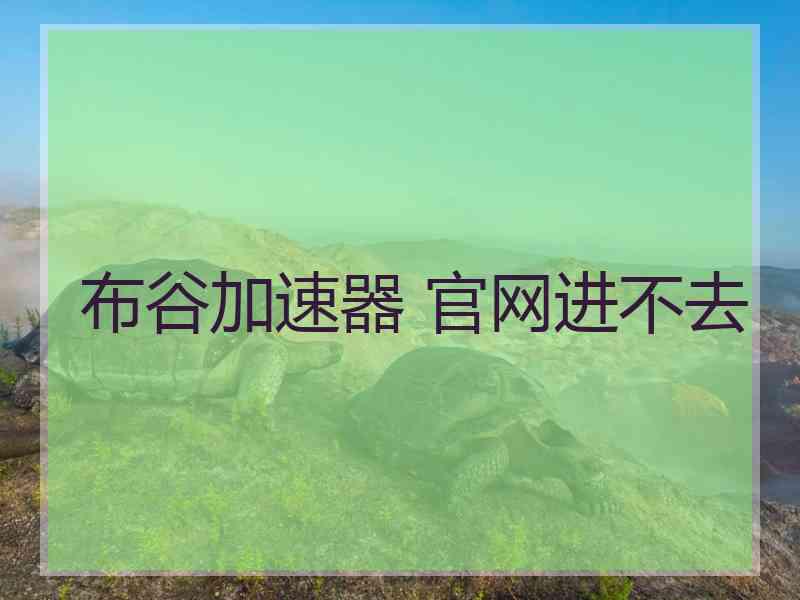 布谷加速器 官网进不去