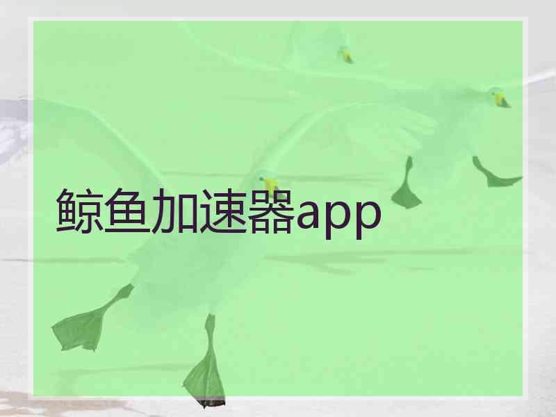 鲸鱼加速器app