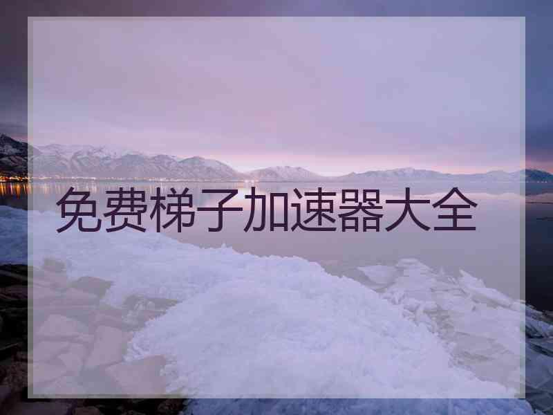 免费梯子加速器大全