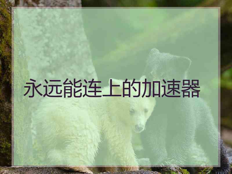 永远能连上的加速器