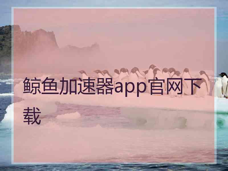 鲸鱼加速器app官网下载