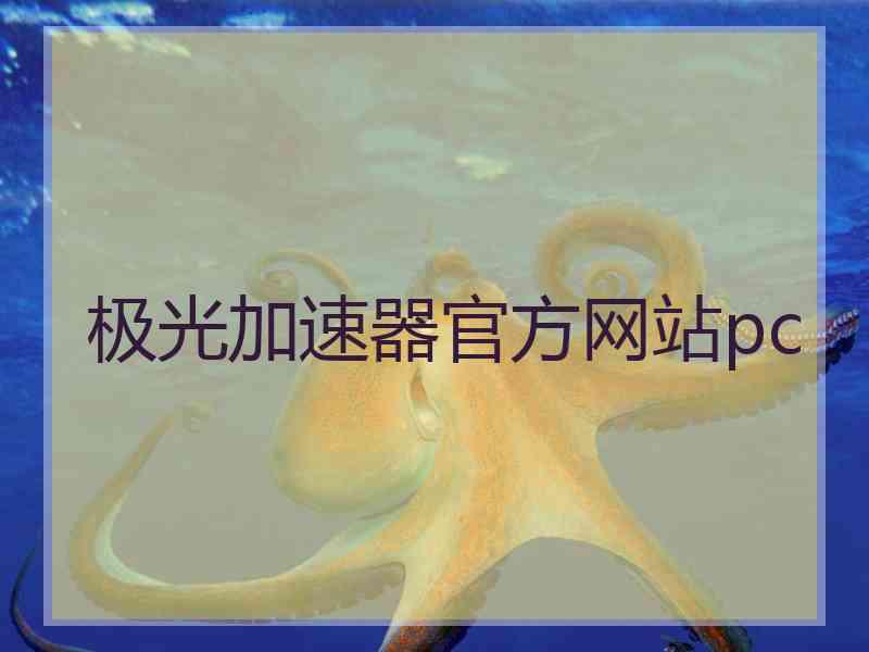 极光加速器官方网站pc