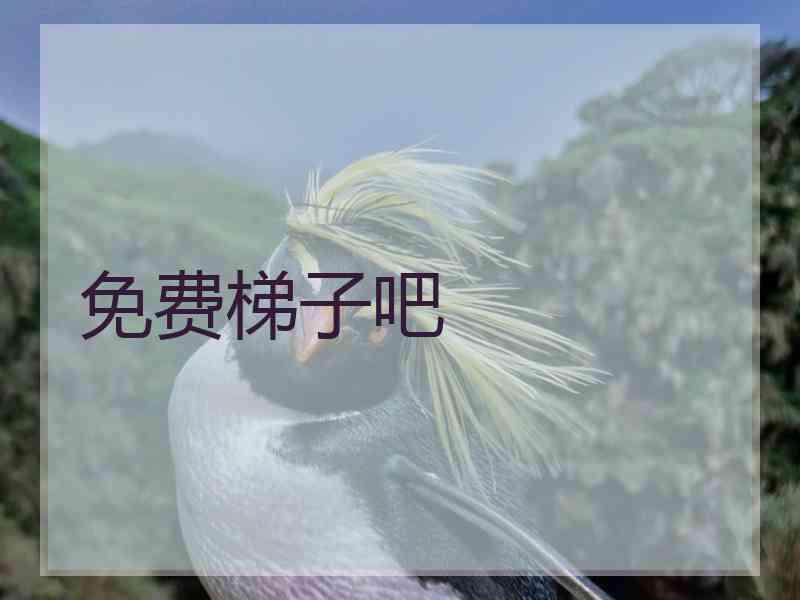 免费梯子吧