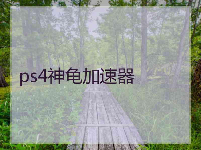 ps4神龟加速器
