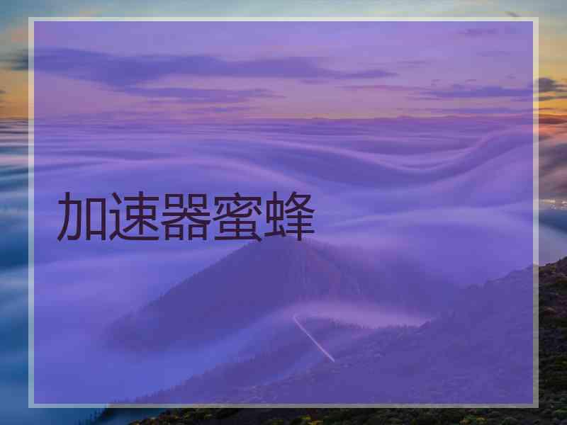 加速器蜜蜂
