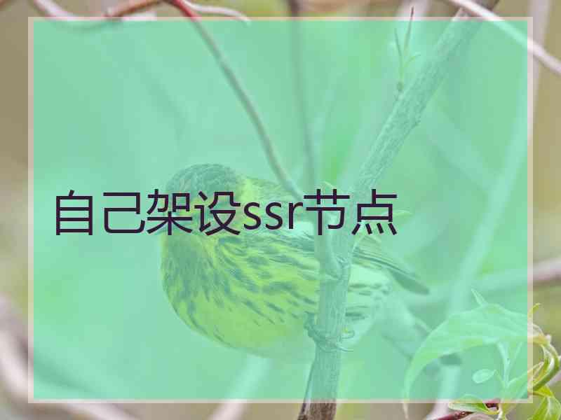 自己架设ssr节点