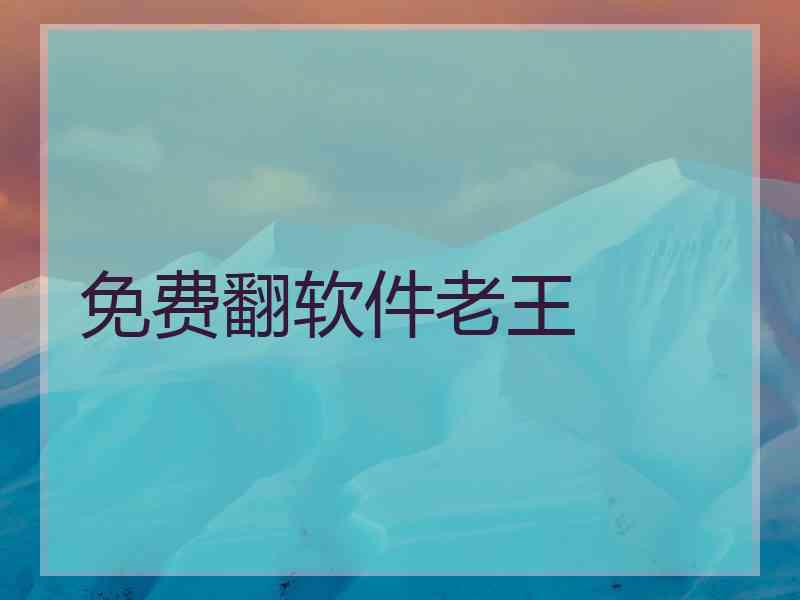 免费翻软件老王