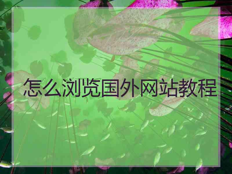 怎么浏览国外网站教程