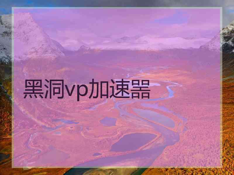 黑洞vp加速噐