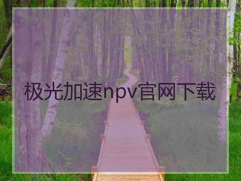 极光加速npv官网下载