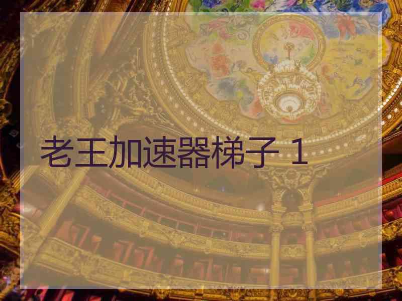 老王加速器梯子 1