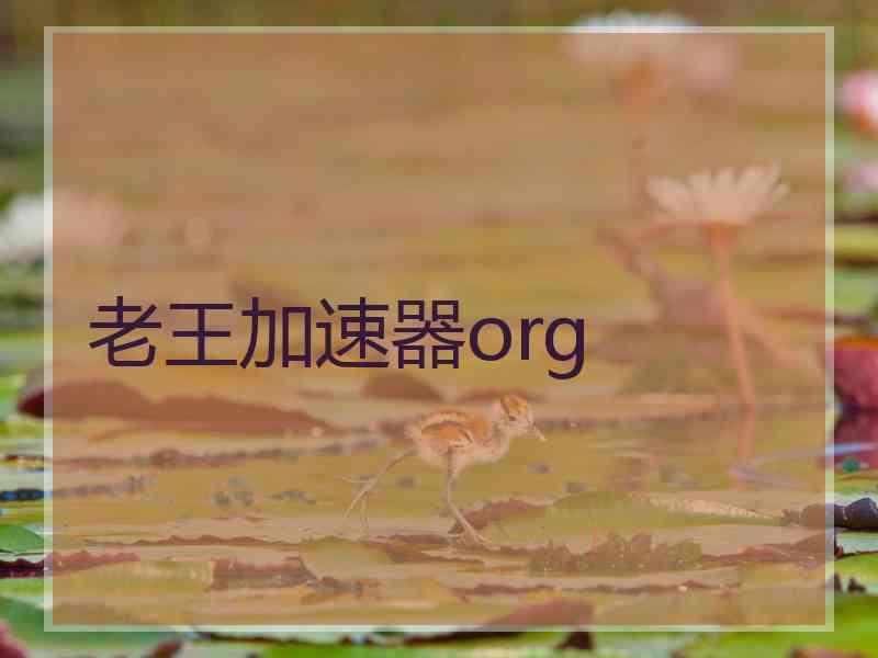 老王加速器org