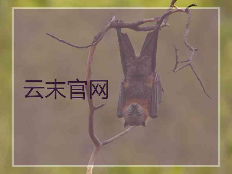 云末官网