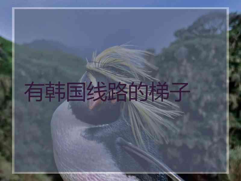 有韩国线路的梯子