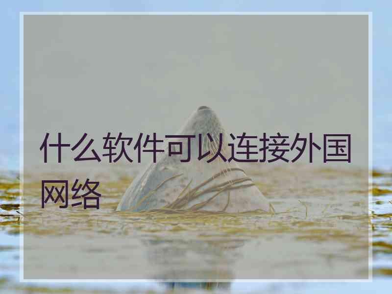 什么软件可以连接外国网络