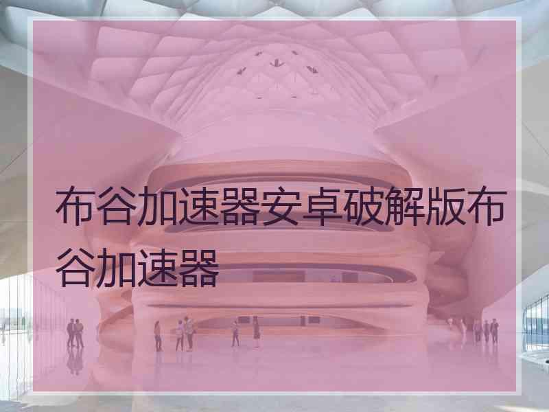 布谷加速器安卓破解版布谷加速器