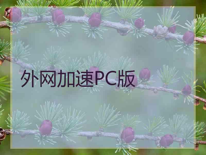 外网加速PC版