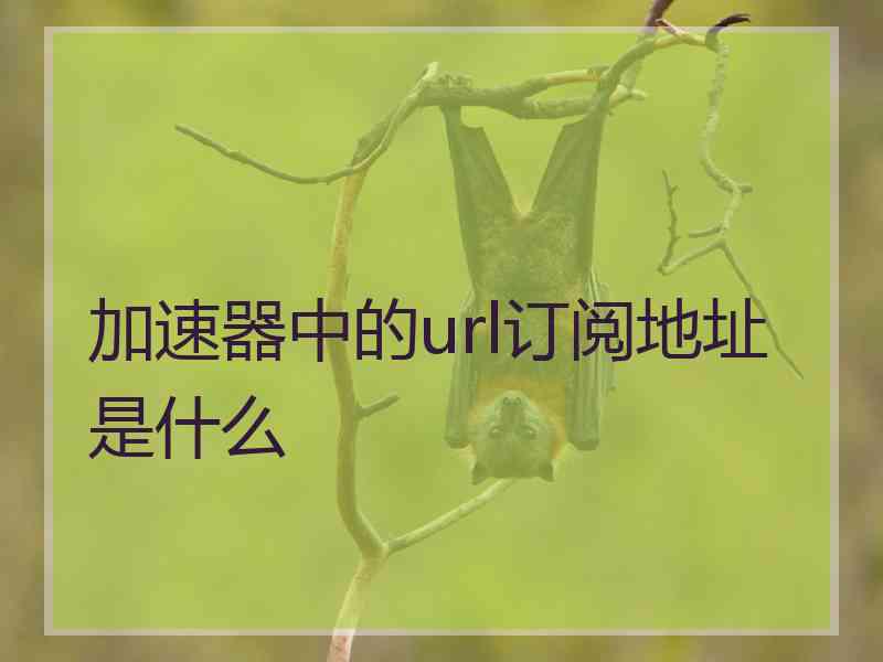 加速器中的url订阅地址是什么