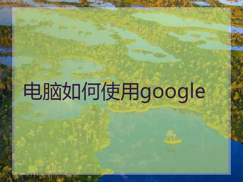 电脑如何使用google