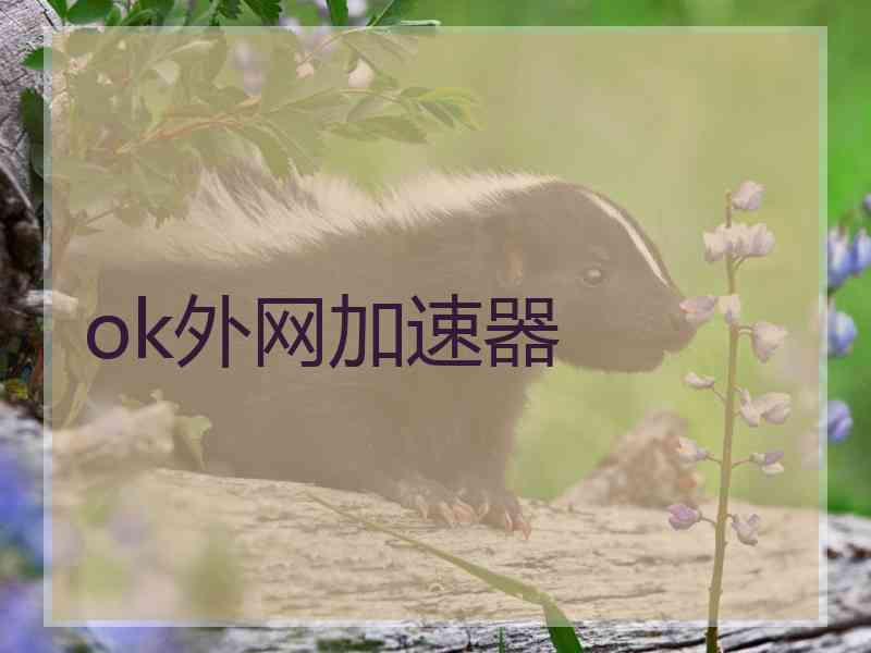 ok外网加速器