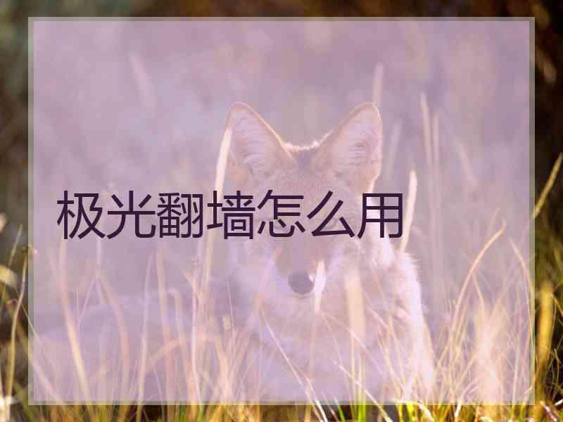 极光翻墙怎么用