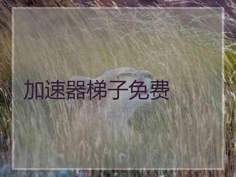 加速器梯子免费