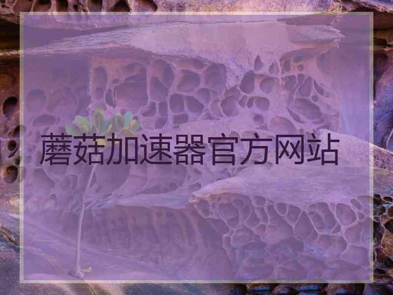 蘑菇加速器官方网站