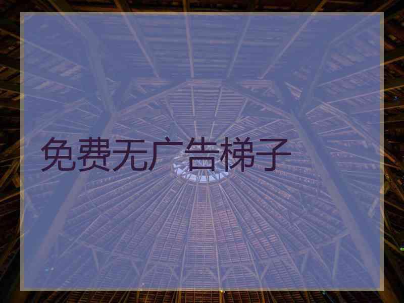 免费无广告梯子