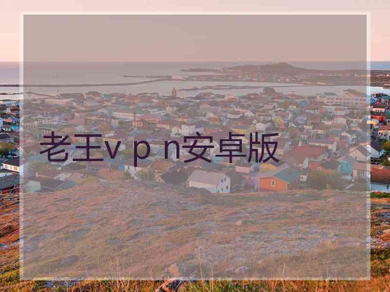 老王v p n安卓版