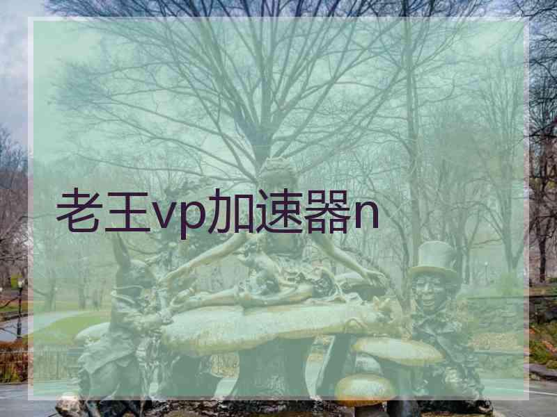 老王vp加速器n